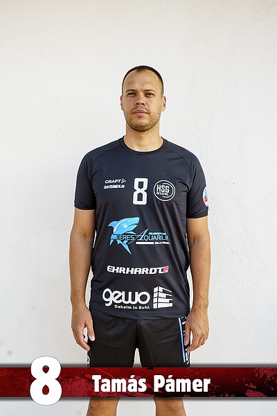 Tamás Pámer
