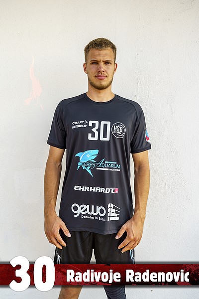 Radivoje Radenovic