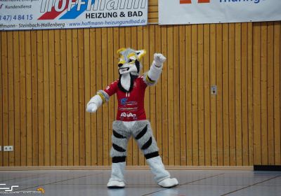 30.03.25 HSG Suhl vs HC Glauchau/Meerane  